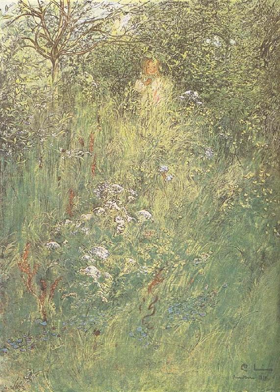 Carl Larsson in the Hawthorn Hedge